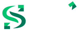 logo-stroyerti